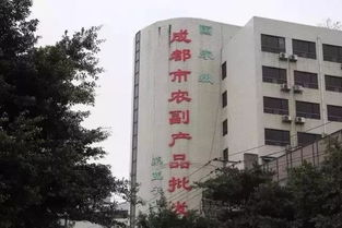 城市變遷的見證 五塊石客運站再會，班線調遷與商品批發貿易新篇章